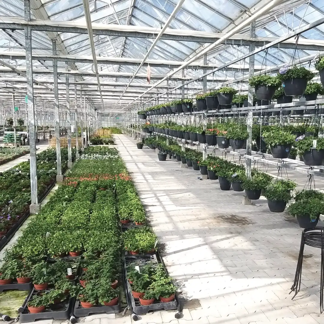 Hanging Baskets en Perkgoed Zorgkwekerij Bloei